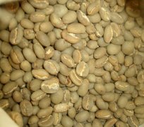 印尼国宝级咖啡豆托那加Toraja与曼特宁咖啡豆风味特点的区别