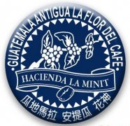 危地马拉安提瓜咖啡（Guatemala Antigua）