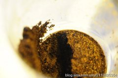 虹吸式萃取咖啡时 小山丘越高越好？