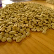 美洲精品咖啡豆哥伦比亚 原名为“翡翠咖啡”