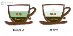 玛琪雅朵和康宝兰的区别