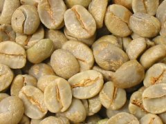 精品咖啡生豆怎样分级分类说明