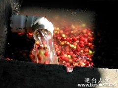 咖啡豆来之不易