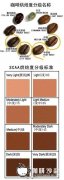 咖啡知识大全  咖啡豆的烘焙技术