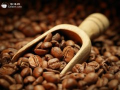世界精品咖啡豆产区 危地马拉咖啡豆