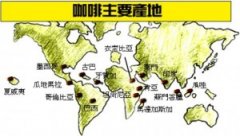 咖啡产量世界第四 中美洲墨西哥精品咖啡豆