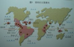 咖啡百科 世界各国咖啡豆的种类产地图 不同咖啡豆口味特点区别