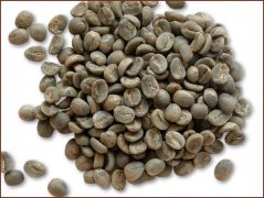咖啡豆 云南小粒种咖啡生豆图片(Arabica)