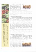 咖啡豆的基础知识 咖啡三大原生种