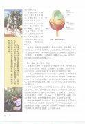 咖啡豆的基础知识 咖啡的栽培过程