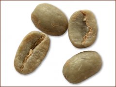 精品咖啡豆推荐 蓝山咖啡豆图片（Blue Mountain)