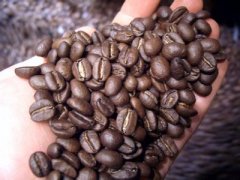 精品咖啡豆的加工 干燥法加工咖啡豆