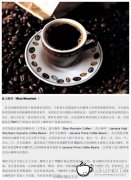 精品咖啡豆咖啡常识 蓝山咖啡
