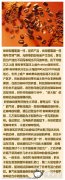 精品咖啡豆 咖啡果实的差异
