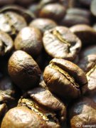 咖啡书籍介绍与推荐  Coffee with Tim Wendelboe