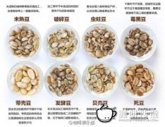 咖啡豆知识 瑕疵豆对咖啡的口感影响特别大