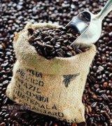 精品咖啡豆常识 10个精品咖啡豆的必备要素