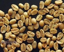 哈拉尔 Harra 埃塞尔比亚咖啡最原始和简单的咖啡
