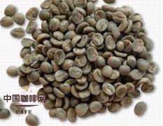 咖啡豆处理 加工生咖啡豆的方法