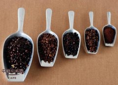 咖啡豆知识 咖啡豆新鲜度判断的方法