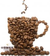 殖民咖啡园 世界主义的一个缩影