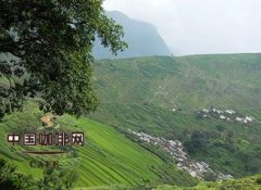中国的咖啡文化 云南朱苦拉村的咖啡之传