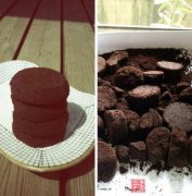 咖啡知识 过期咖啡豆还能这样用
