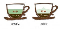 真正的咖啡醇香味来自于咖啡花的香气