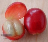 精品咖啡文化历史 意大利的咖啡文化