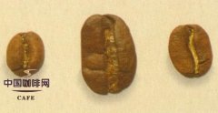 精品咖啡豆种类 基因突变种介绍