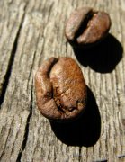 COSTA雨林认证咖啡豆制作分享文章