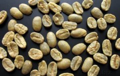 古巴马拉戈日皮咖啡象豆Elephant Bean