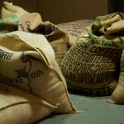 口味优先的产地评级制度 巴西咖啡分成5个等级