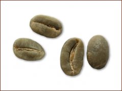 咖啡豆图解 特比卡咖啡豆图片