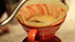 咖啡树是属於茜草科的常绿灌木或乔木