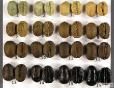 精品咖啡常识 咖啡豆的烘培原则、分类
