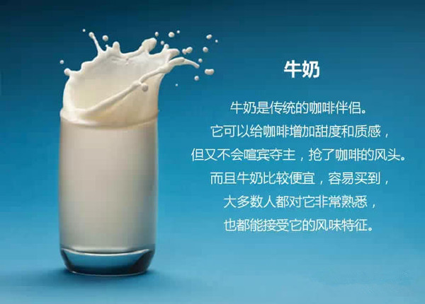 哪些奶制品是咖啡的忠实小伙伴？