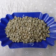 巴拿马FST圣特雷莎庄园精品咖啡豆 进口咖啡熟豆下单自家烘焙研磨