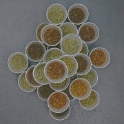 精品咖啡的定义 精品咖啡基础常识