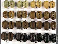 制作及品鉴咖啡的重点 咖啡师甜的吗？