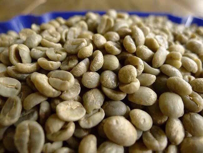 我国首个咖啡豆检验检疫行业标准发布