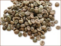 老挝中粒咖啡豆图片（Lao Robusta）