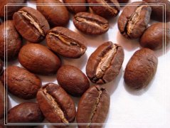 咖啡豆详情介绍 精选水洗皇家罗布斯塔咖啡豆