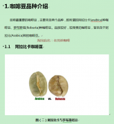 咖啡知识系列一 精品咖啡豆咖啡果的介绍