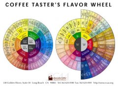 SCAA风味轮 Coffee Tasters Flavor Wheel 中英双语 PDF下载