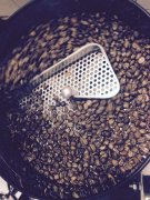 咖啡的种类 巴西（南美）山多斯咖啡