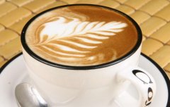 咖啡两个品种分类 Arabica 和 Robusta