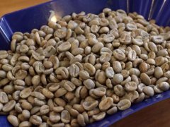 世界主要咖啡豆产地 各国各种著名咖啡豆特点风味口感分级烘焙度简介