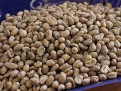 埃塞俄比亚咖啡豆等级制度简述 咖啡豆常识