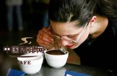 低因咖啡渐受青睐 从选取咖啡豆开始